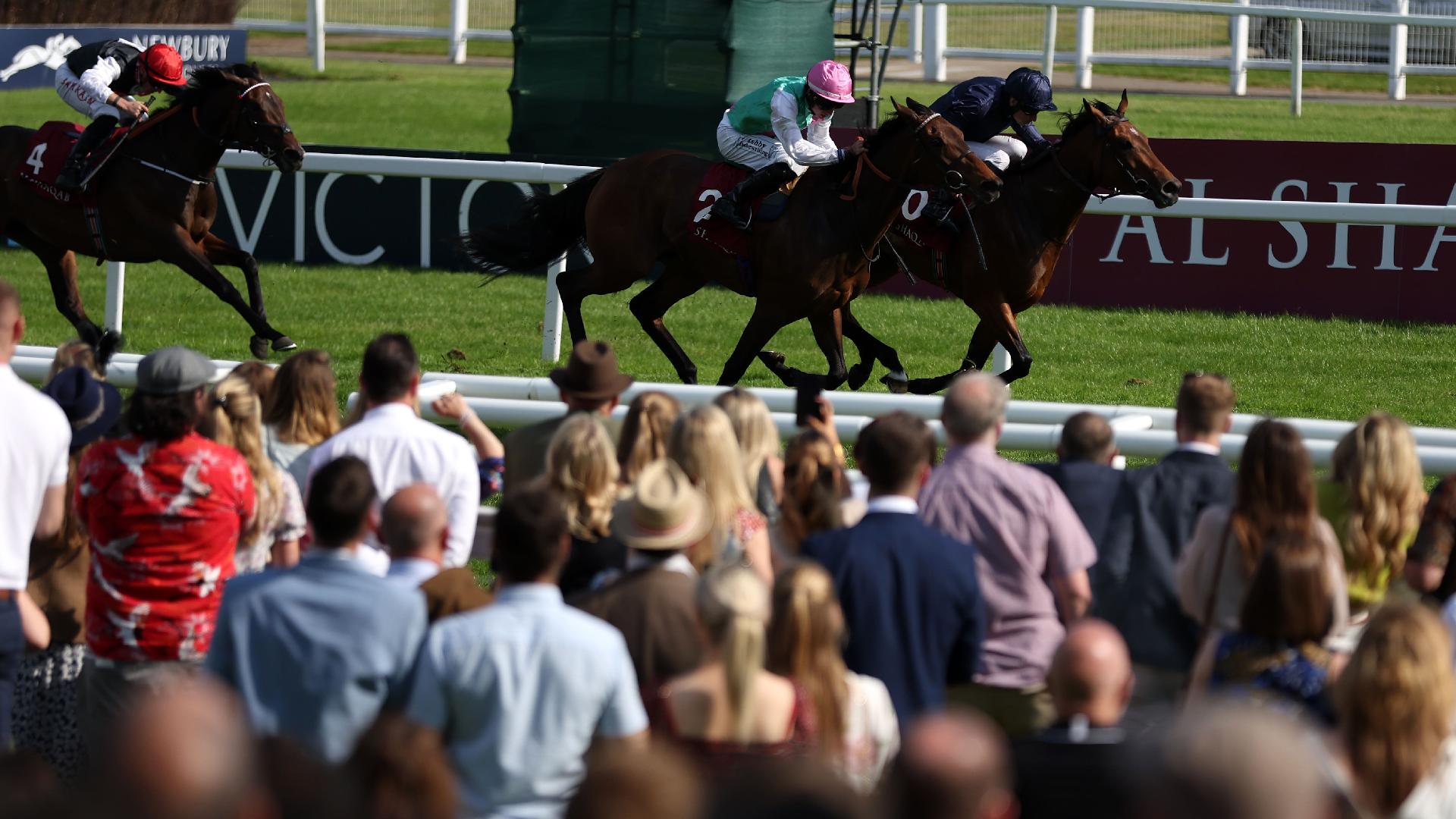 Warm shows plenty of Heart in Fillies’ Trial win Warm shows plenty of Heart in Fillies’ Trial win